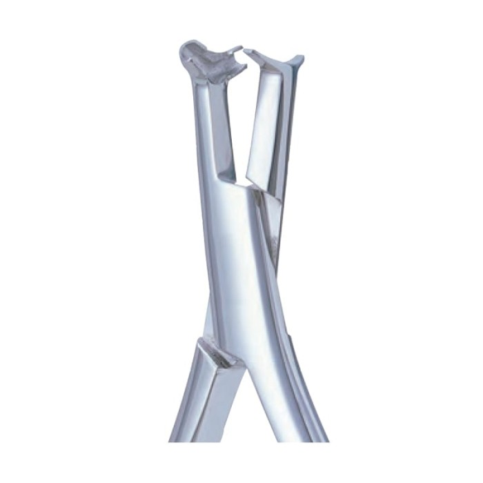 Cleste Cinch back Regular